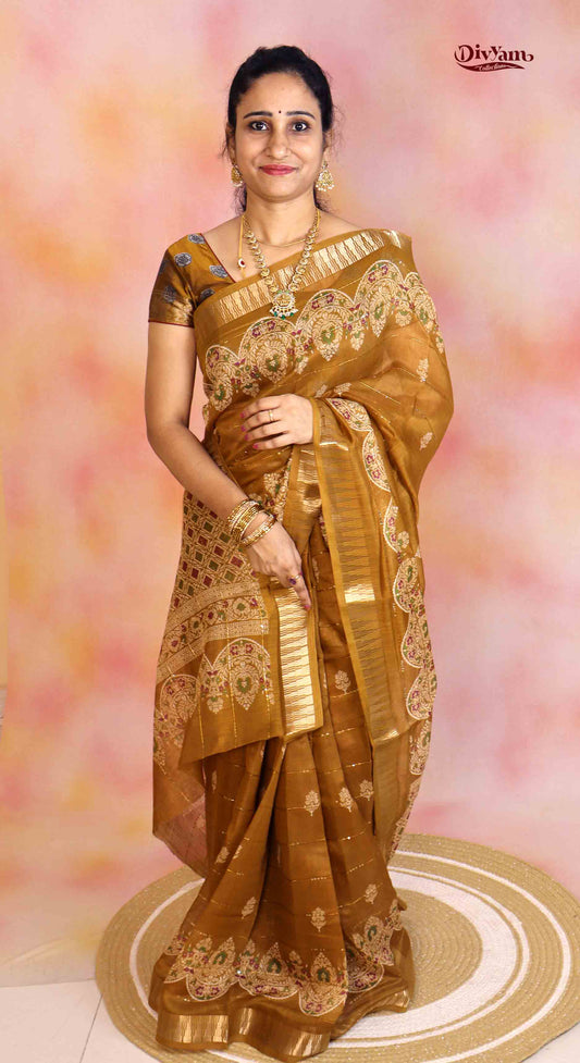 DC290 | Fancy Silk Saree with All-Over Sequin Embroidery & Running Blouse